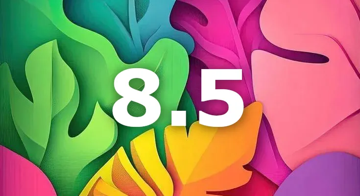 Update 8.5